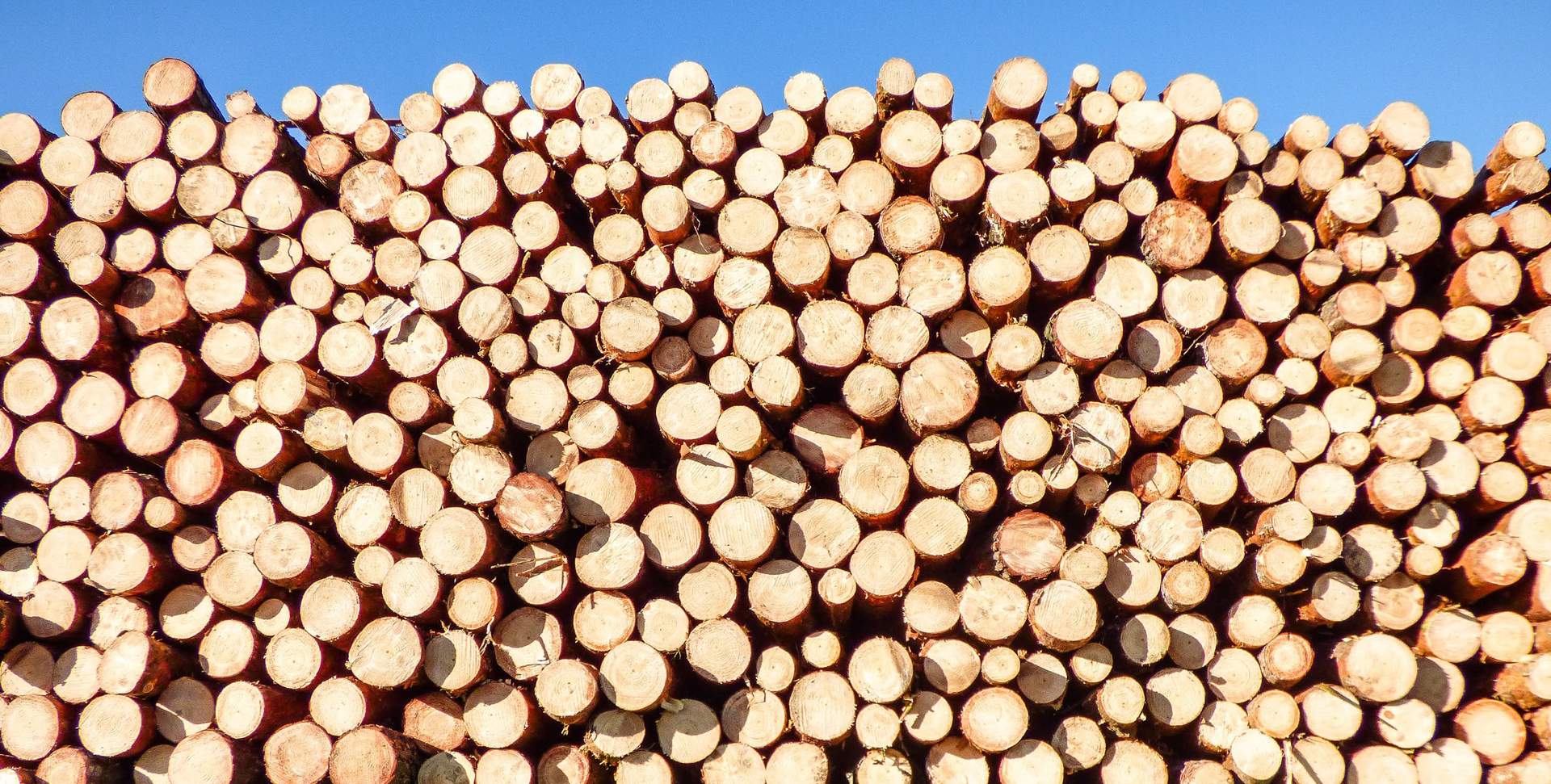 Agricultural Wood